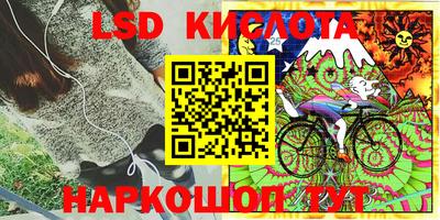 стаф Ливны