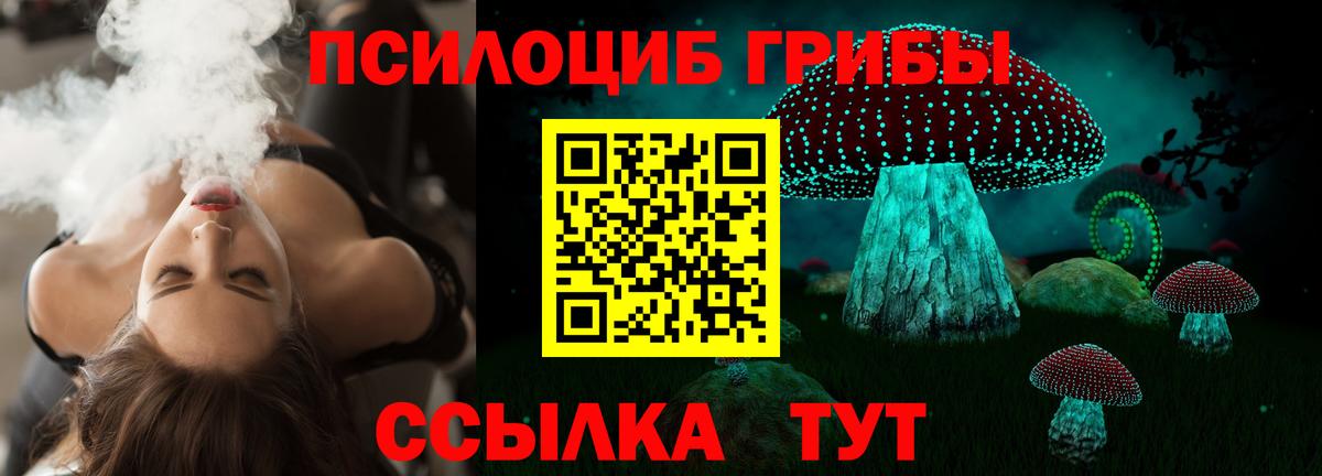 Галлюциногенные грибы ЛСД  Псилоцибиновые грибы прущие грибы  продажа наркотиков  Сафоново  Вход с VPN 